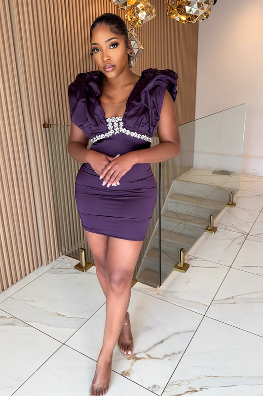 Purple Embellished Dress