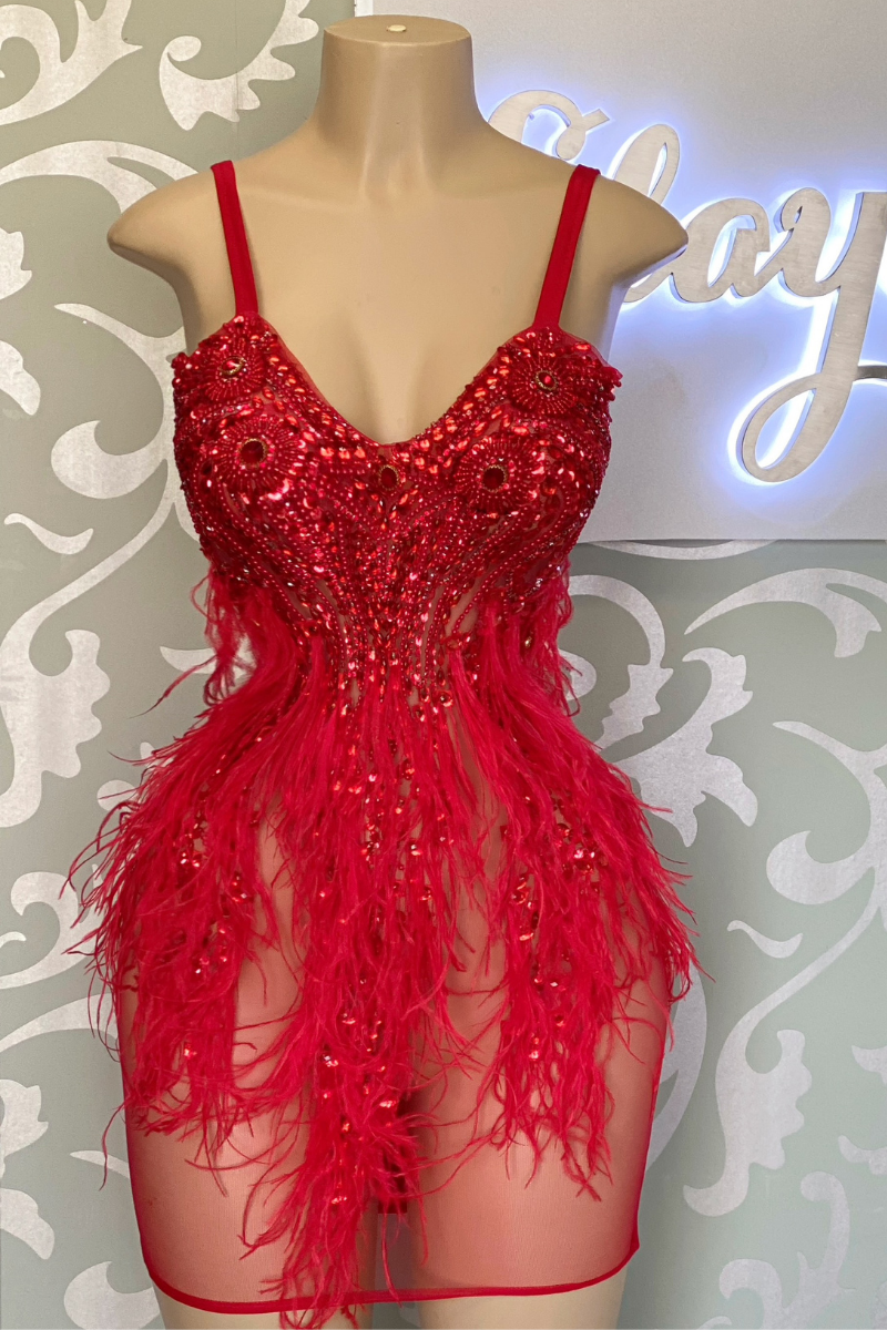 Cruella Feathered Dress